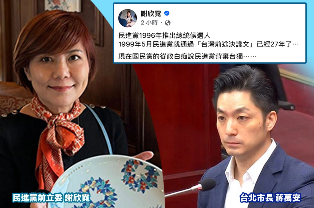 謝欣霓酸藍營「從政白痴」還在打台獨黨綱！強調27年前就已通過《台灣前途決議文》