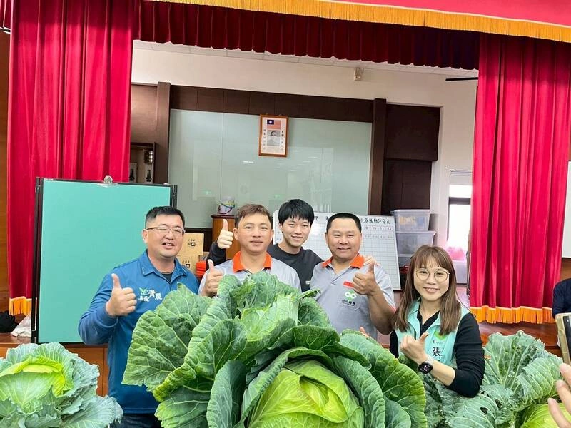 嘉義青農巨大高麗菜競賽  林俊嘉以35.24台斤奪冠