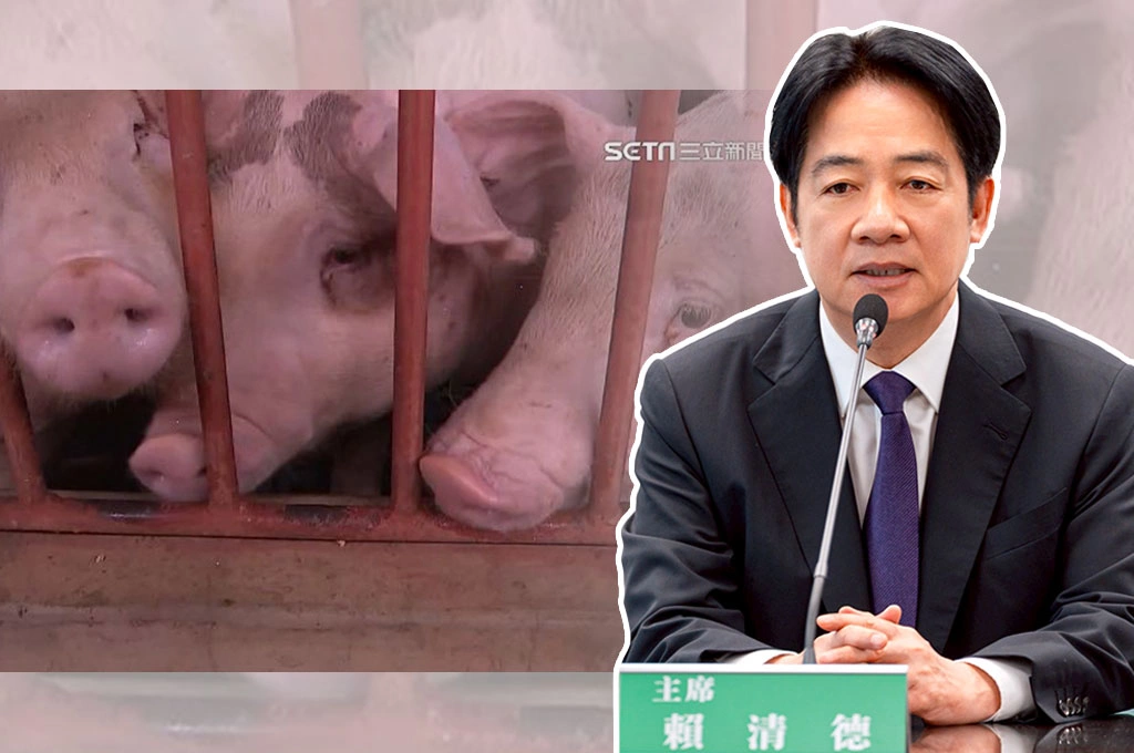 非洲豬瘟來襲...賴清德下令中常委、黨公職協助政府宣傳防檢疫作為:讓疫情不再擴散、降低產業衝擊