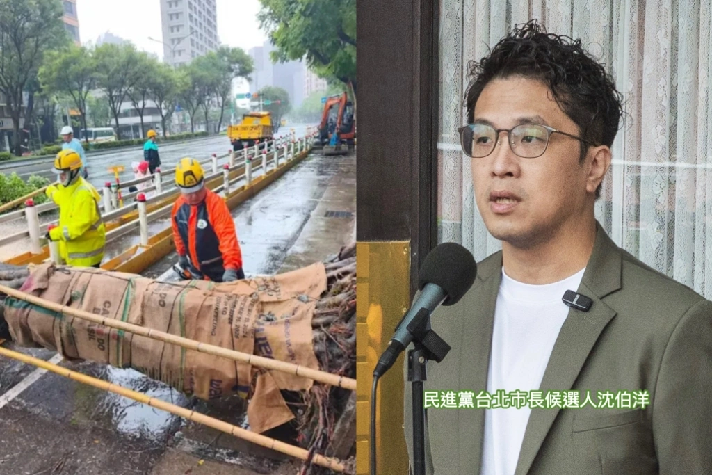北市府砍樹、沈伯洋順勢拋台北都市林計畫：路樹治理不能齊頭式砍除！