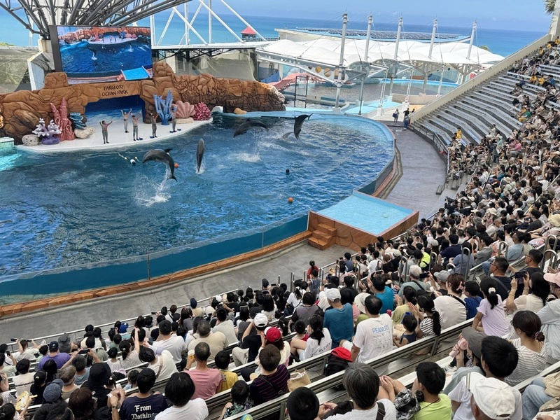 花蓮海洋公園海豚秀落幕 轉型生態展演推廣保育