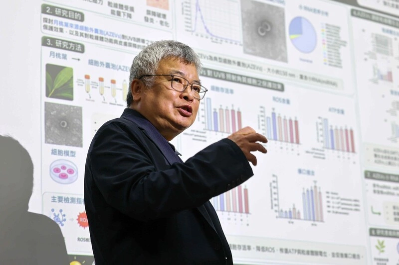 興大研究月桃抗老關鍵 外囊泡修復肌膚提升細胞能量