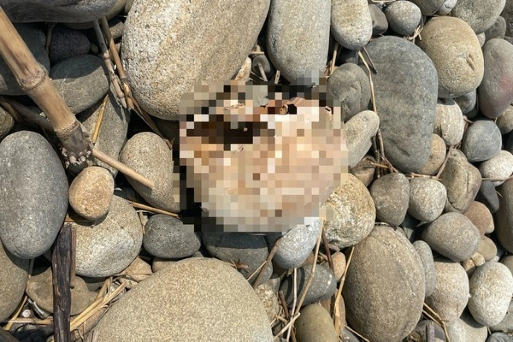 台中出海口驚見風化頭顱