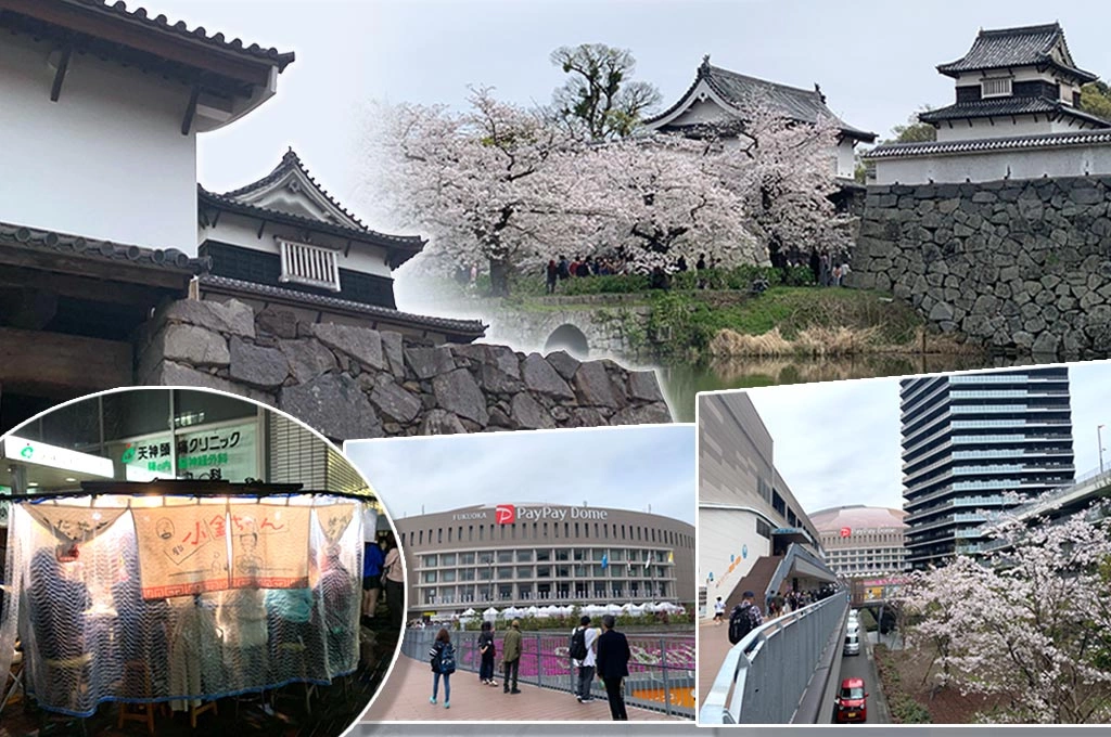 【桑梓散步】博多記行