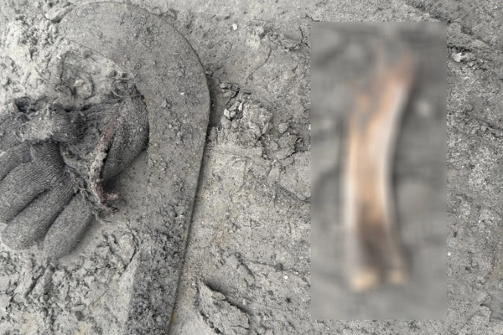 光復災區尋獲失聯夫妻衣物及骨骸  鑑定非人骨