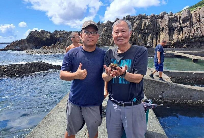 新北貢寮鮑混養紫海膽　冬夏增收益降採捕壓力