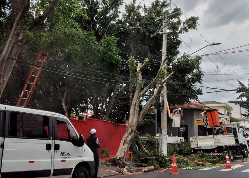 強風橫掃聖保羅　數十萬戶停電