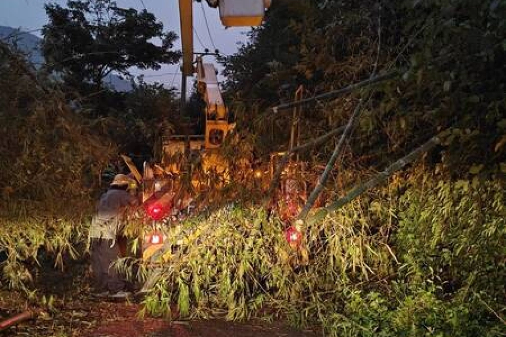 颱風薔琵釀14.6萬戶停電　台電跨區支援加速搶修