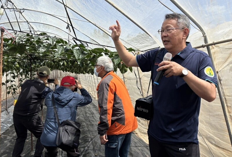 開發澎湖春季百香果　打造在地產業新亮點