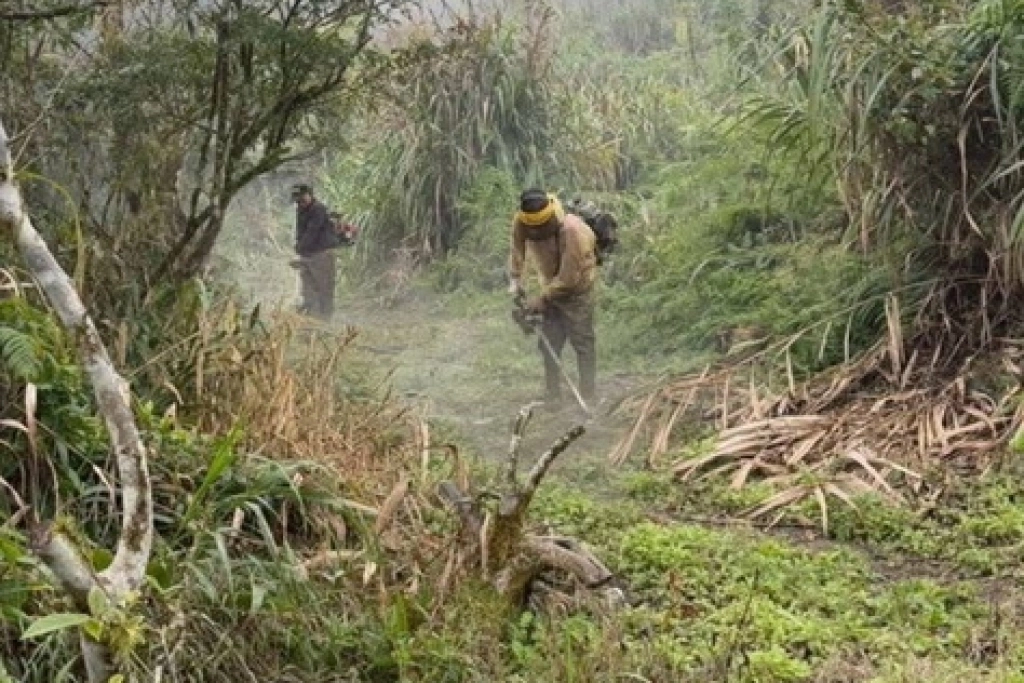 千里眼山步道震後修復開放　太管處邀山友重返山林