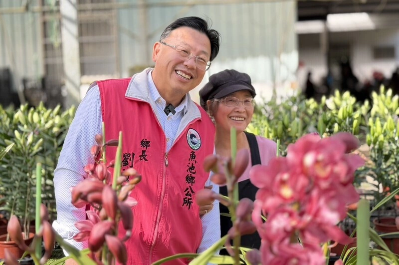 南投魚池鄉盛產虎頭蘭春節應景　公所推擺飾添喜氣