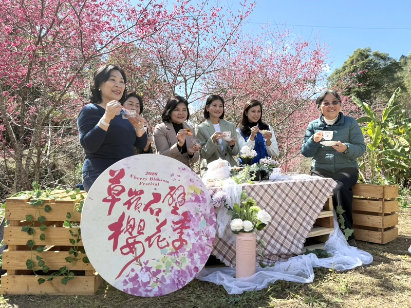 雲林草嶺石壁櫻花季2/17登場 山林走春感受粉色花海