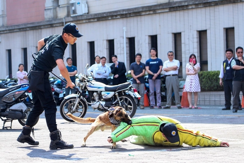 台中市警犬隊因世界花博成軍  提升維安反恐量能