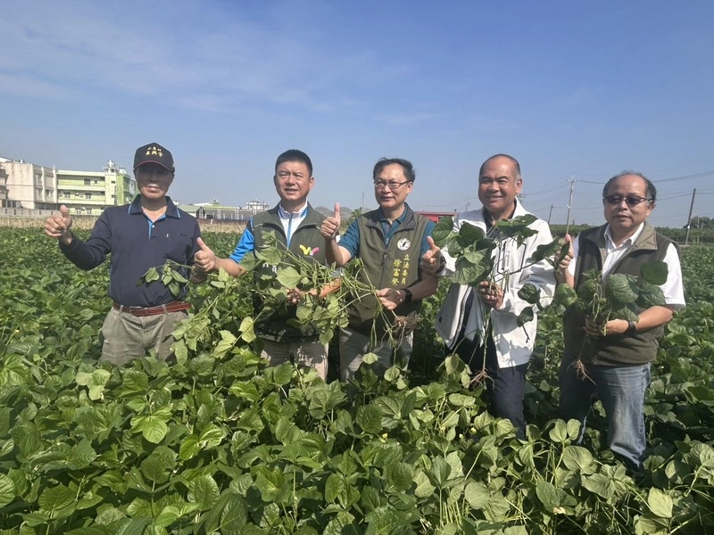 徐富癸現勘屏東萬丹紅豆生長情形