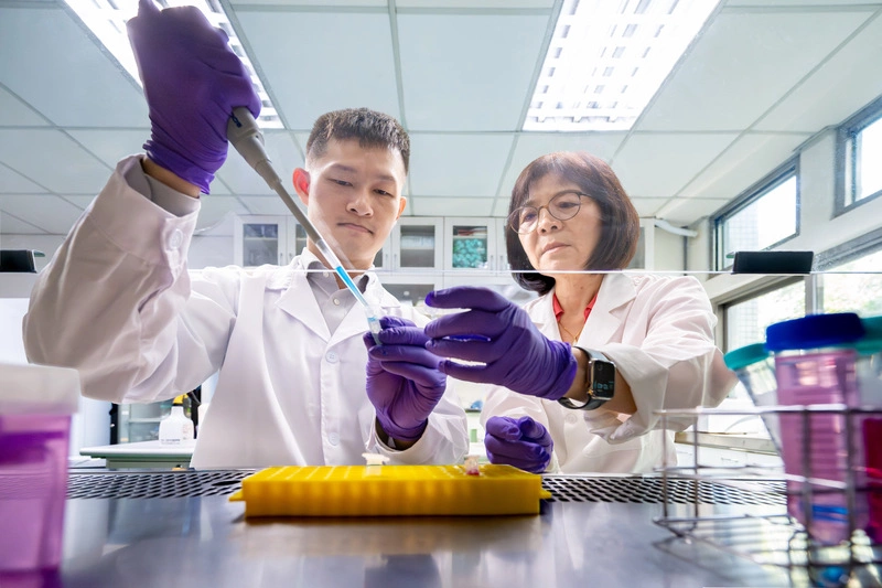 穀胱甘肽助癌細胞生長　清大研究新精準治療方向