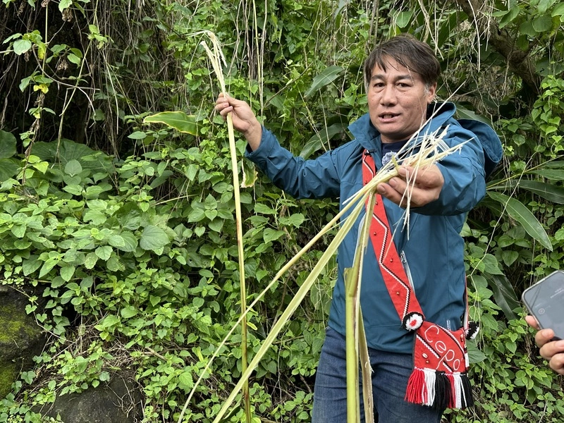 石梯坪發現硨磲貝  漁民串聯相關單位打造復育基地
