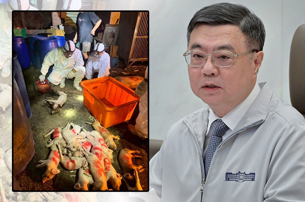 非洲豬瘟挑戰再襲！中央在台中設置前進應變所、農業部次長進駐...卓榮泰下午率團加入工作