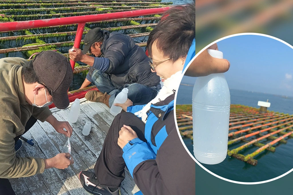 為養殖環境把關！臺南市推動牡蠣養殖水質監測與品牌標章 雙軌並進守護「臺南蚵」品質與永續發展
