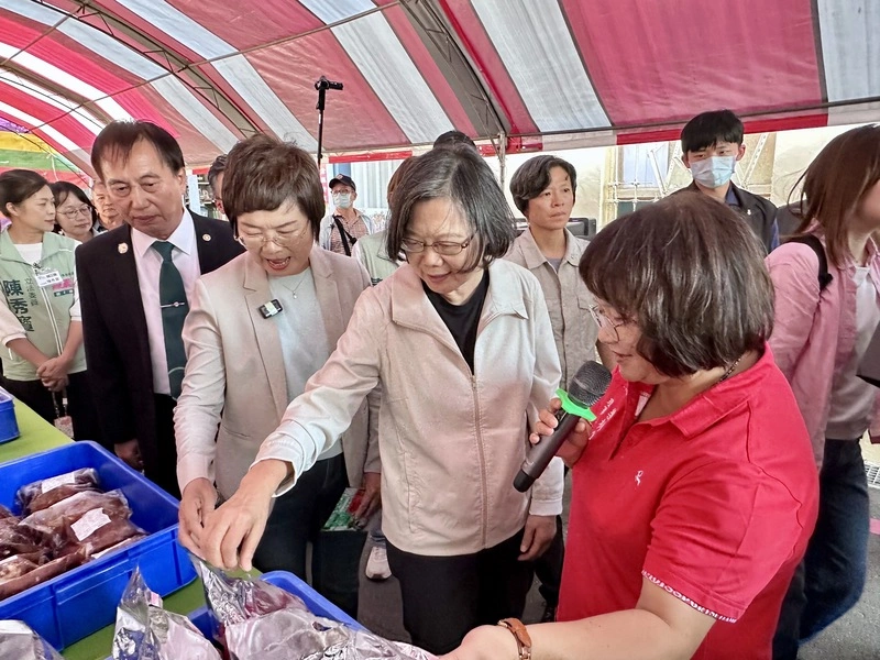 陳素月選彰化縣長　蔡英文出任競總榮譽主委