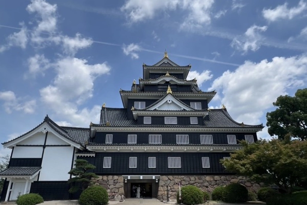 台虎增班帶動　台灣旅客日本岡山住宿晚數增逾6成