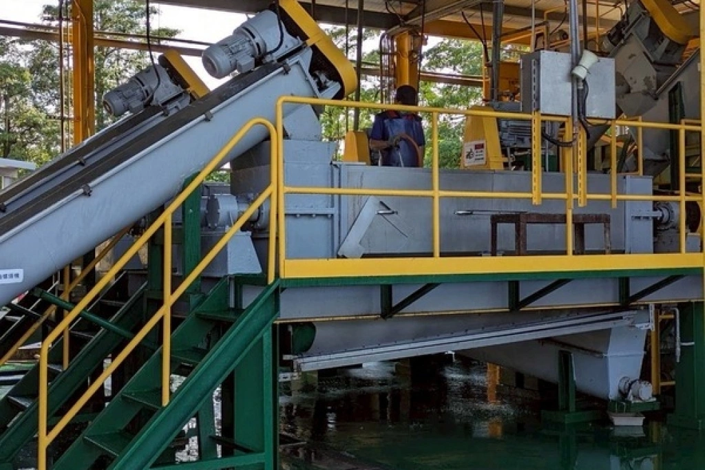 家戶廚餘115年起禁養豬　北市日產126噸全做堆肥