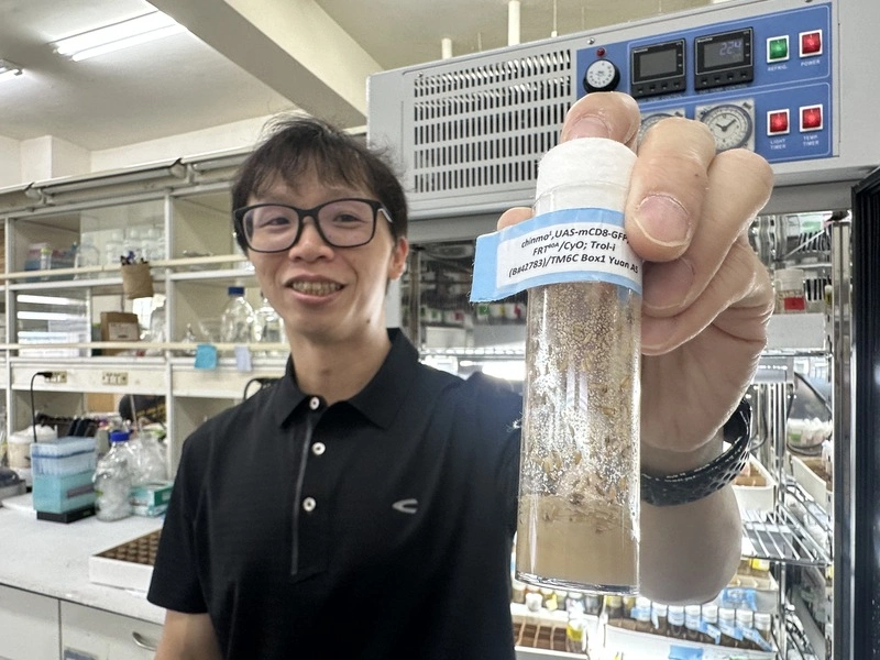 興大果蠅實驗發現　精子幹細胞環境老化影響下一代