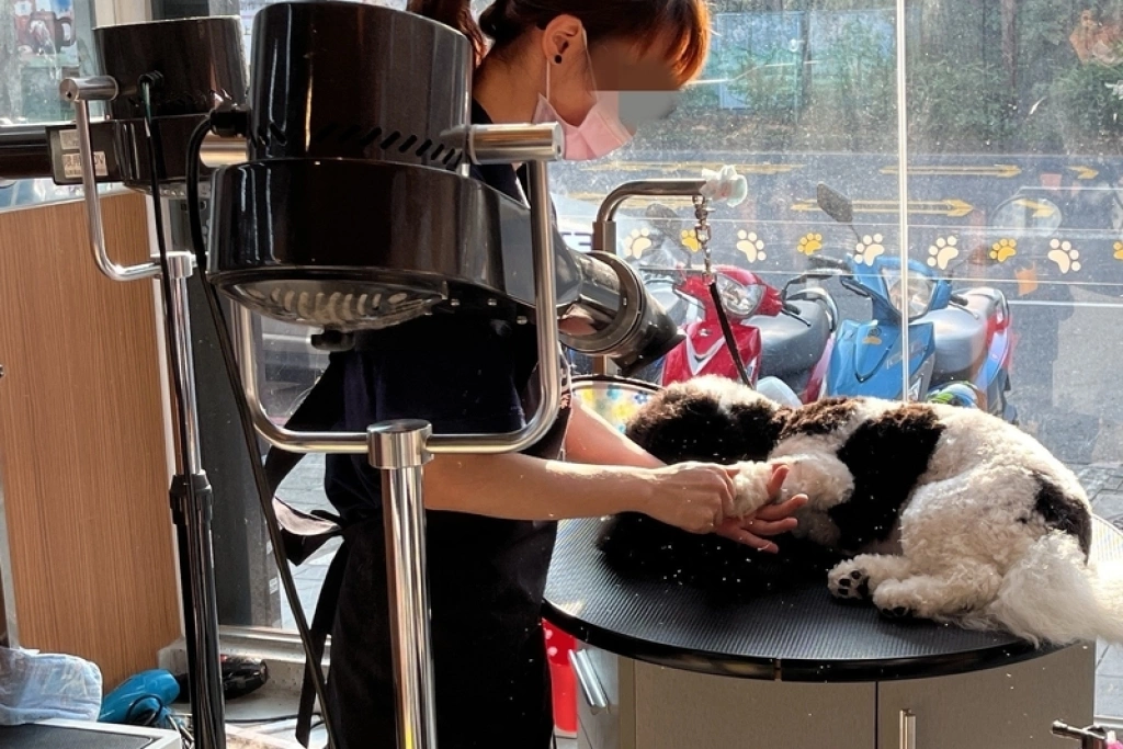 犬貓美容契約上路 北市動保處3/16查核552家業者