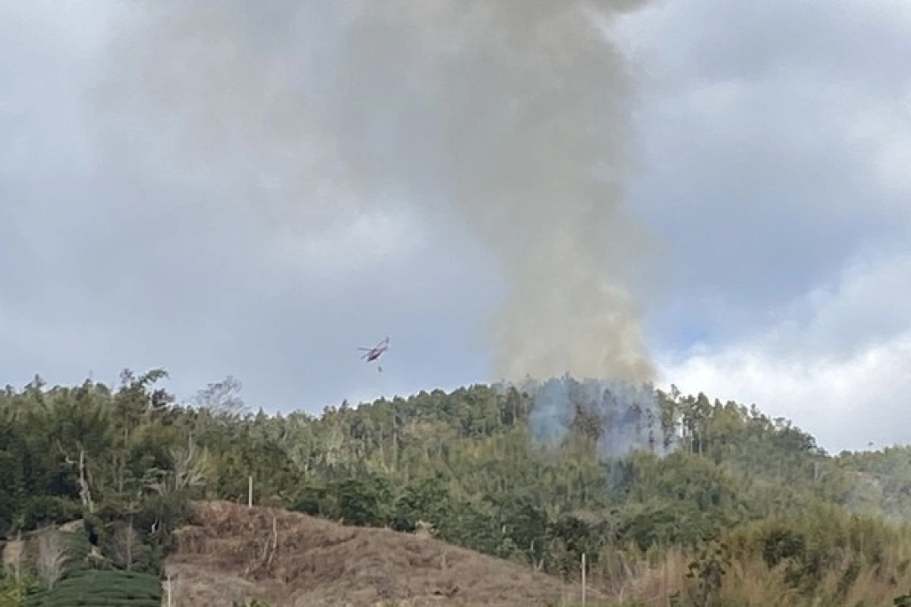 雲林草嶺森林火警延燒26小時