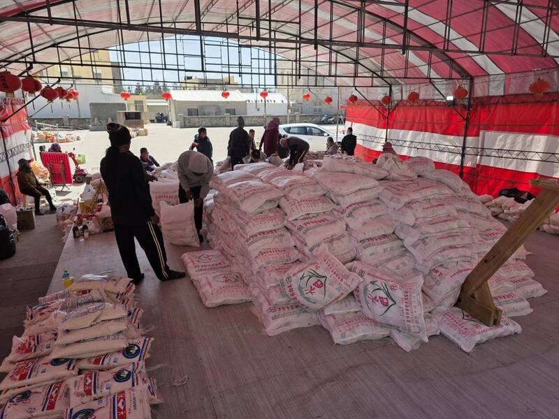 澎湖最大米包龜拆解銷售　湧現搶購人潮