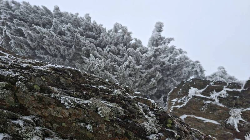 玉山北峰中午再度降雪