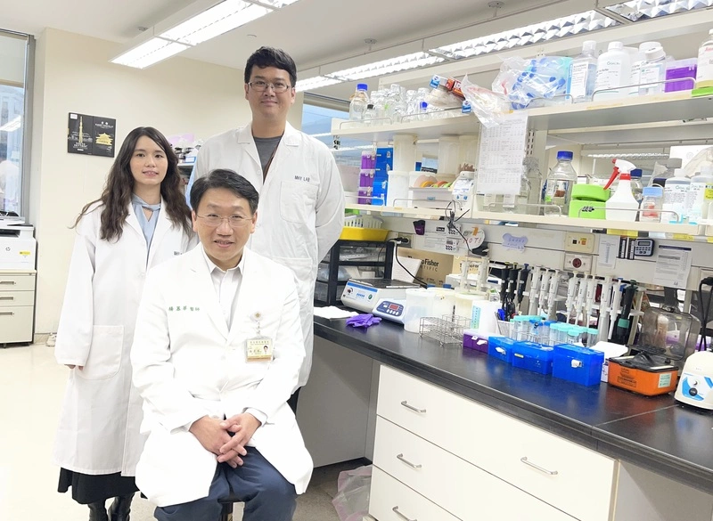 陽明交大研究團隊揭露癌細胞具抗壓性