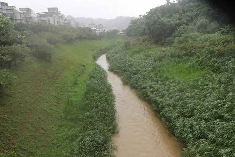 颱風巴威釀北市217件災情　多為路樹倒塌