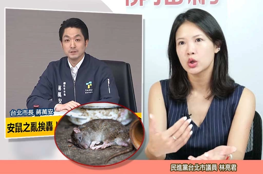 林亮君揭北市鼠患「真實存在」 批蔣市府政治操作:想讓大家不敢談老鼠