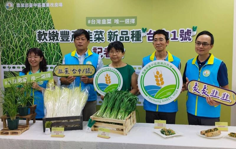 韭菜新品種台中1號  口感較佳產量更高