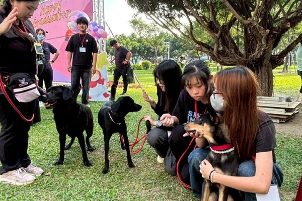 屏東大學迎來3隻學習輔助犬新成員