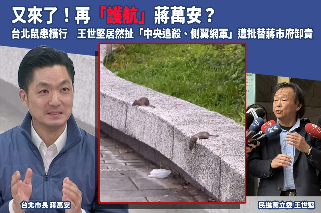 又來了！再「護航」蔣萬安？　台北鼠患橫行　王世堅居然扯「中央追殺、側翼網軍」遭批替蔣市府卸責