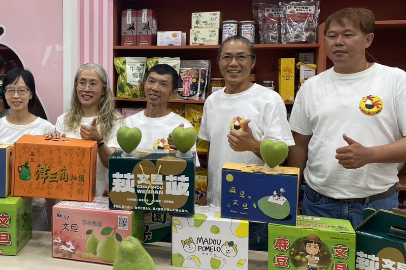 麻豆文旦產季近　青農推中秋預購助公益