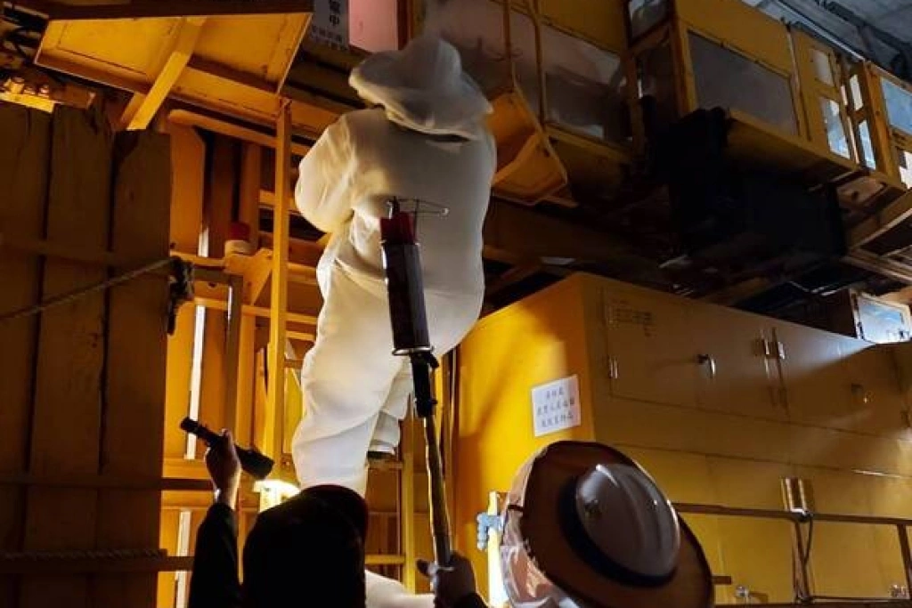 桃園捕蜂捉蛇業務2026年起委外辦理