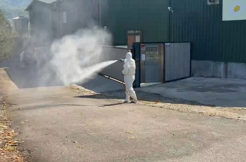 台中雞場疑隱匿禽流感　全數撲殺不予補償