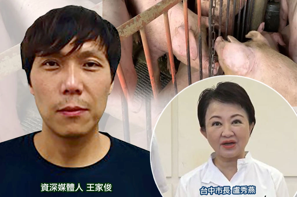 評盧秀燕「3大事」通通失守「2026命懸一線」...王家俊指「必須拚非洲豬瘟過關」：2028先別想了