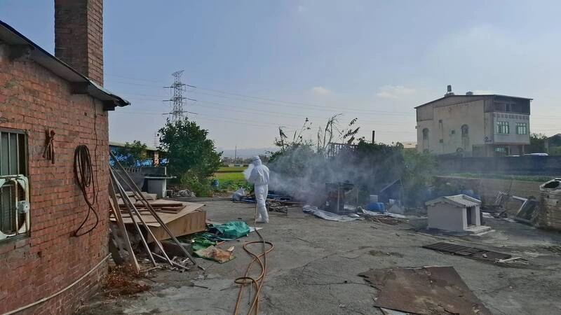 中市府查獲龍井違規廚餘養豬  最高可罰400萬