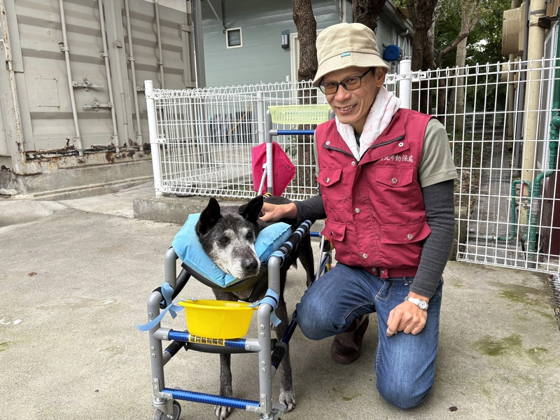 新北動保員拍片幫毛孩找家　製水管輪椅助重生