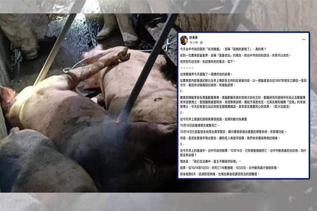 台中市府面對「非洲豬瘟」宣稱「該做的都做了」...許美華曝「畜產老兵」看法：非常不以為然！點出事發至今多處「應為而不為」：拖延採樣送檢、延誤防疫時機