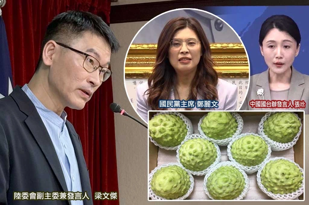 鄭麗文、國台辦拿鳳梨釋迦大作文章…梁文傑強調「兩岸政策需保持一致」：扯農業、扯水果沒有意義