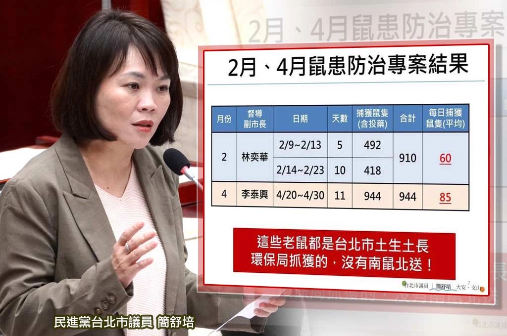 北市26天狂抓1854隻老鼠！簡舒培轟蔣市府：全是「土生土長」別再瞎扯南鼠北送