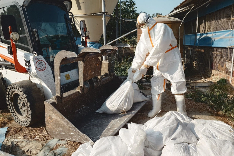 台南養雞場確診禽流感　撲殺1萬836隻