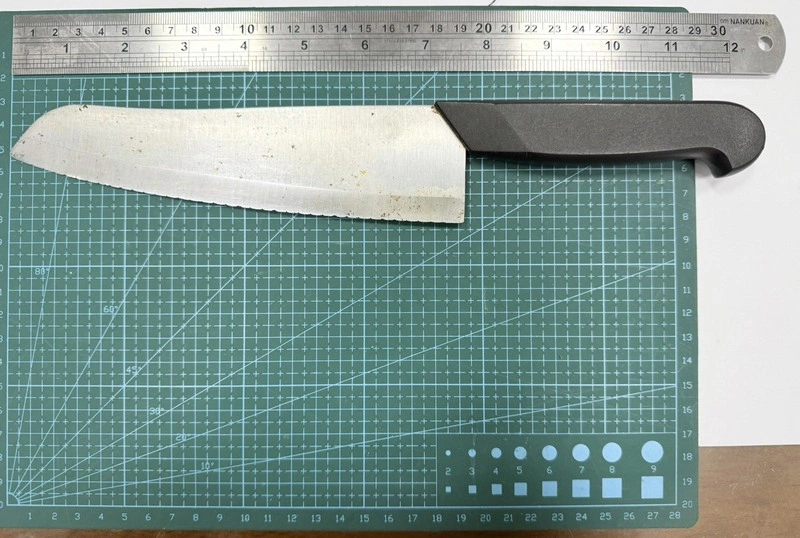 男子凌晨持刀欲闖總統府　警壓制逮捕送辦