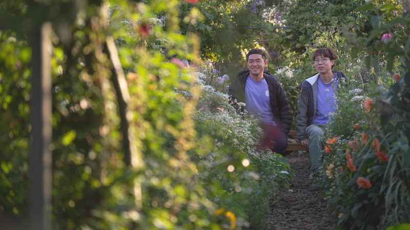 公視「藝術很有事」開箱彰化田尾花園