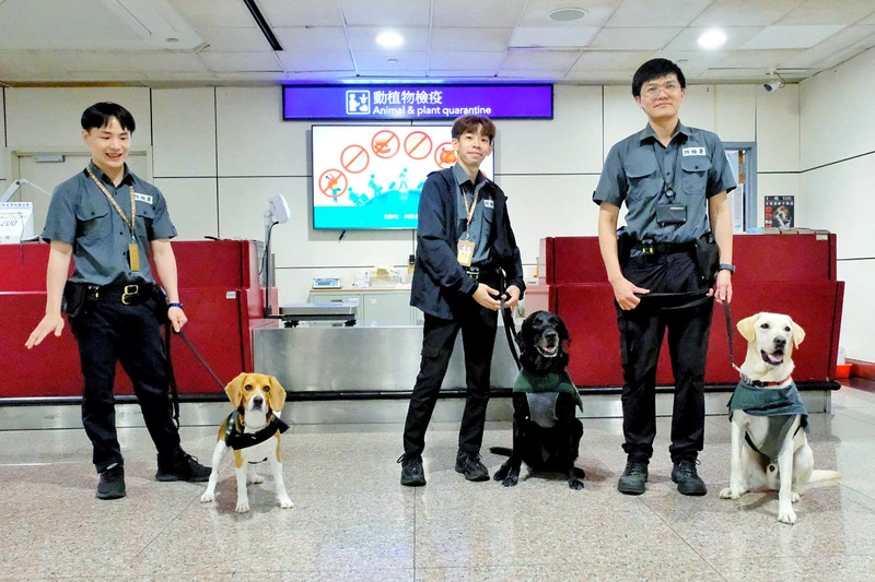 旅客助桃機檢疫犬執勤  可獲贈毛英雄限量萌貼紙