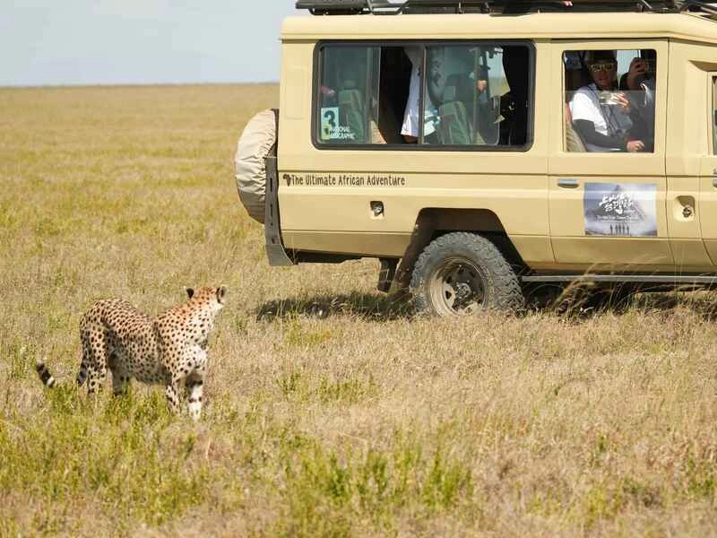 「上山吧！台灣隊」遠赴非洲體驗獵遊